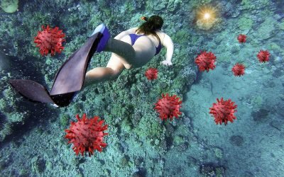 Swimming in the unknown world of COVID19 – Nectars Identified?