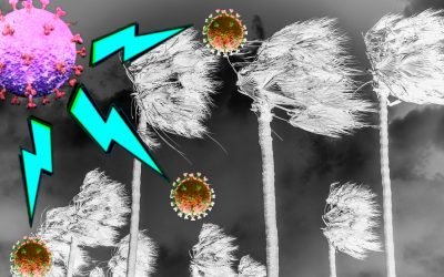 Cytokine Storm is the sinking ship of COVID-19?