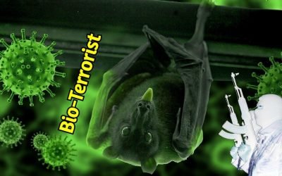 Nature sent COVID-19 as the ultimate bioterrorist. Learn the ways of coming to terms with it.