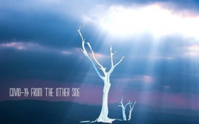 COVID-19: From The Other Side