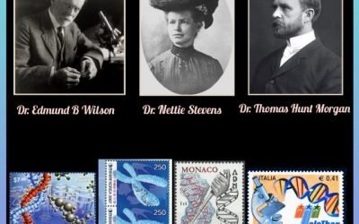 History Today in Medicine – Prof. Dr. Edmund B. Wilson