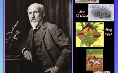 History Today in Medicine – Prof. Dr. Oscar Hertwig