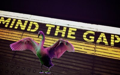 The current “Knowledge Gap” in COVID-19: Indecision Strom is full blown