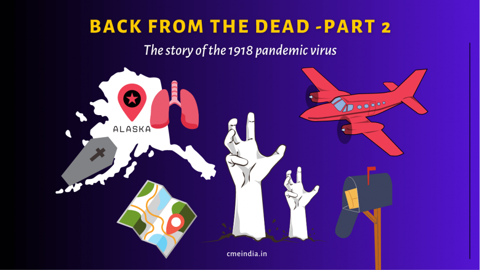 1918 Pandemic Infographic part 2