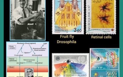 History Today in Medicine – Prof. George Wald