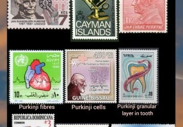 History Today in Medicine – Prof. Dr. Johann Purkinje