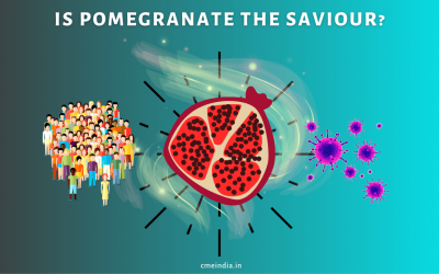 Inhibit SARS-CoV-2 virus internalization with Pomegranate peel extract