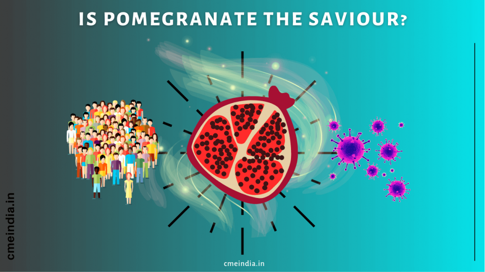 Pomegranate in COVID