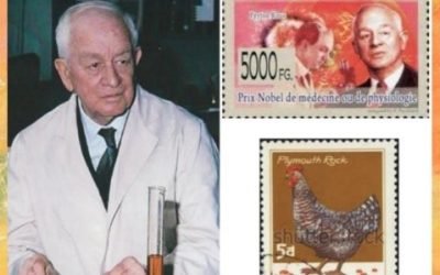 History Today in Medicine – Dr. Francis Peyton Rous