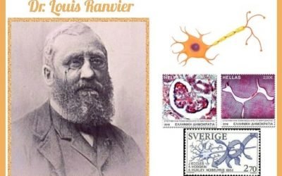 History Today in Medicine – Dr. Louis Ranvier