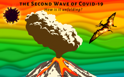 How the Second Wave of Covid is unfolding?