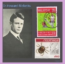 History Today in Medicine – Dr. Howard Taylor Ricketts