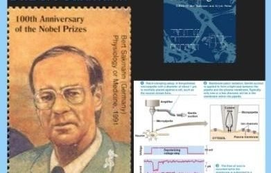 History Today in Medicine – Dr. Bert Sakmann
