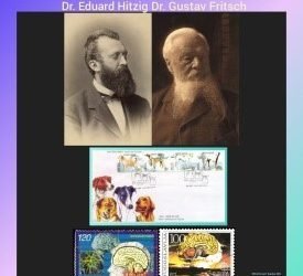 History Today in Medicine – Prof. Dr. Eduard Hitzig