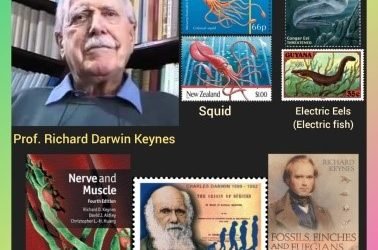 History Today in Medicine – Prof. Richard Darwin Keynes