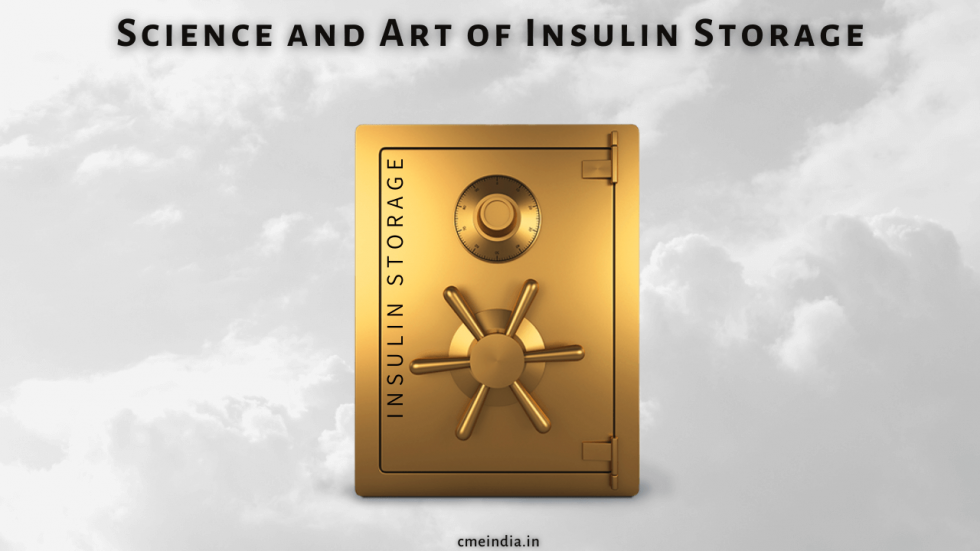 Science and Art of Insulin Storage