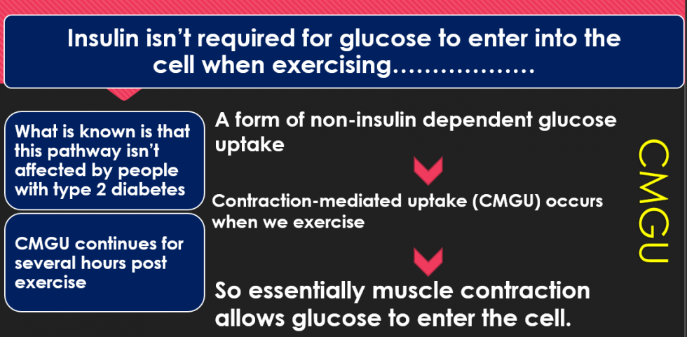 Intricacies of Physical Exercise in Type 1 Diabetes - CME INDIA