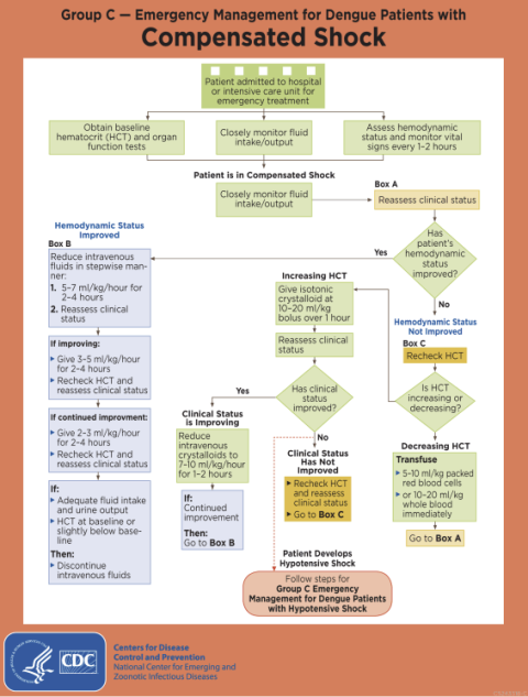 What Physicians Must Do During Clinical Round in A Dengue Ward? - CME INDIA