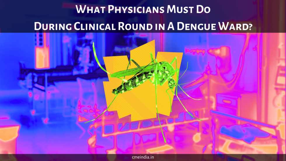What Physicians Must Do During Clinical Round in A Dengue Ward?