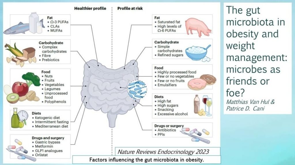 Emerging Era of Probiotic Use in Health and Diseases - Gut Microbiota & Diabetes/Metabolic Health