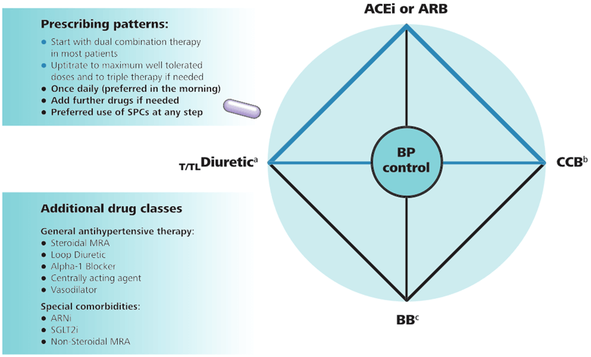What is New in Hypertension Management?