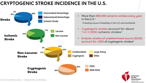 Cryptogenic Stroke - What Physicians Must Know? - CME INDIA