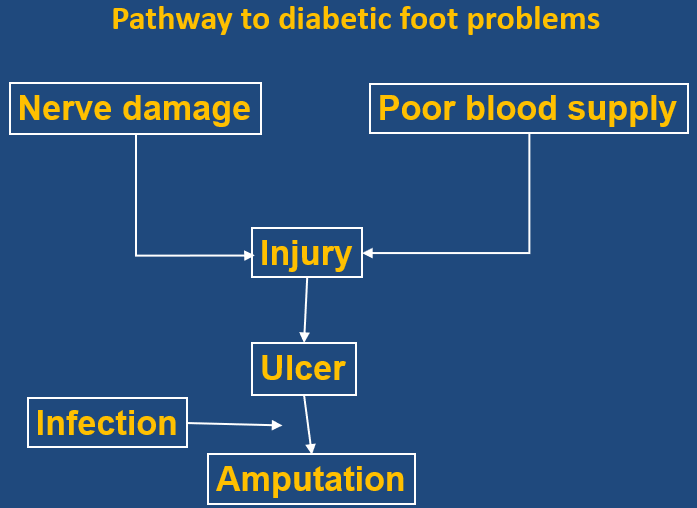What Physicians Need to Advice Patients About Diabetic Foot Care?