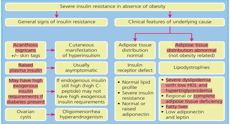 Recurrent Abdominal Pain and Elevated Triglycerides in a 15-year-old Diabetic Patient