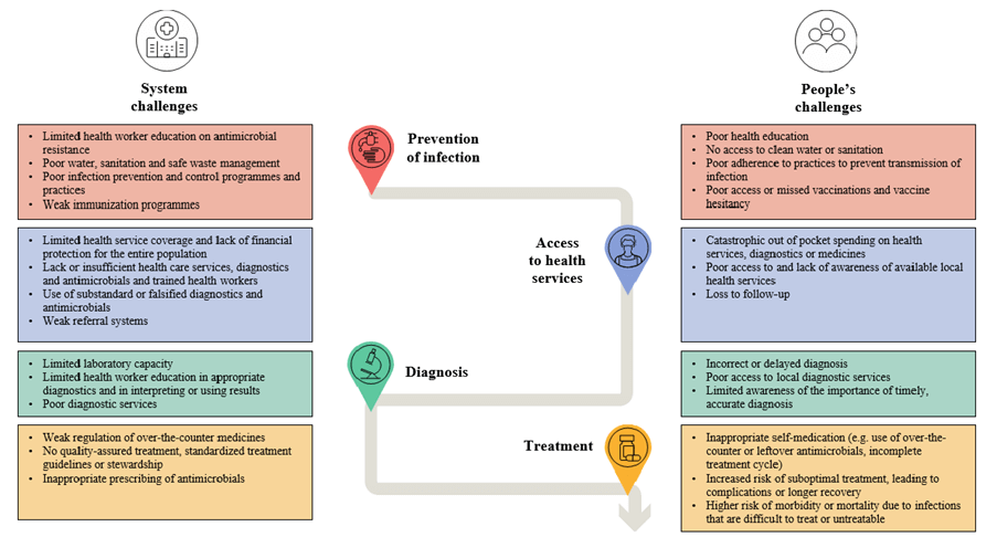 Combating Antimicrobial Resistance: Strategies, Innovations, and Global Efforts