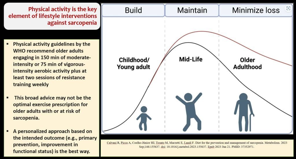 How to fight Sarcopenia while being older?
