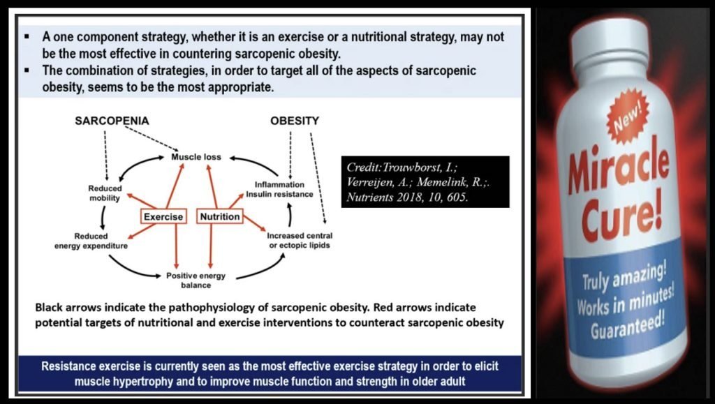 How to fight Sarcopenia while being older?