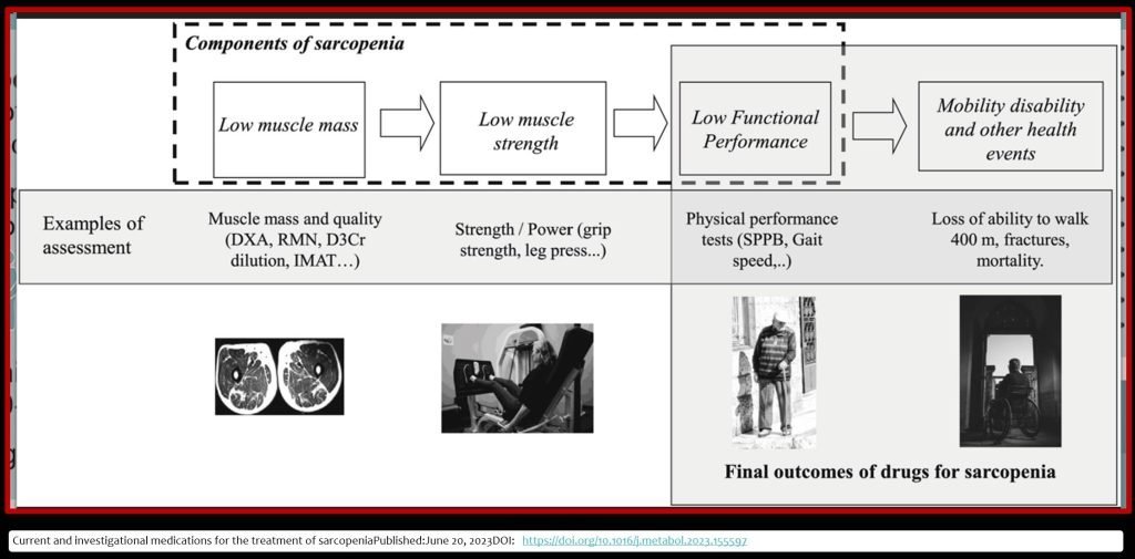 How to fight Sarcopenia while being older?