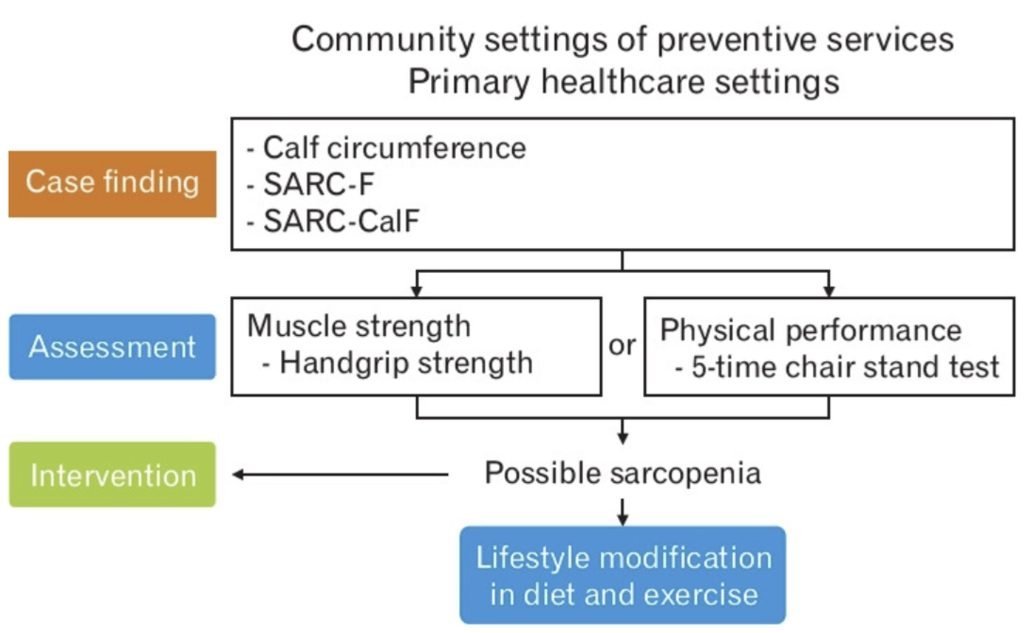 How to fight Sarcopenia while being older?