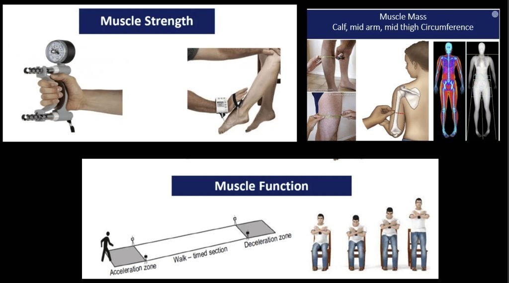 How to fight Sarcopenia while being older?