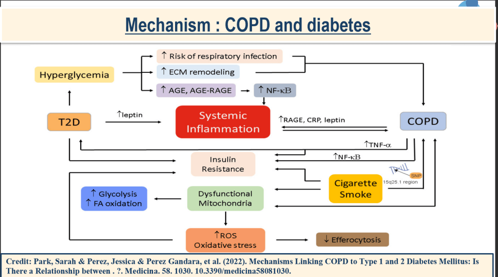 What Physicians Must Know about Pulmonary Manifestations in Diabetes