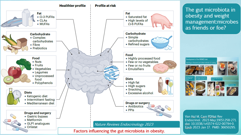 Revolutionizing Diabetes Care in India: Integrating Traditional Diets and Exercise with Modern Therapies in 2025