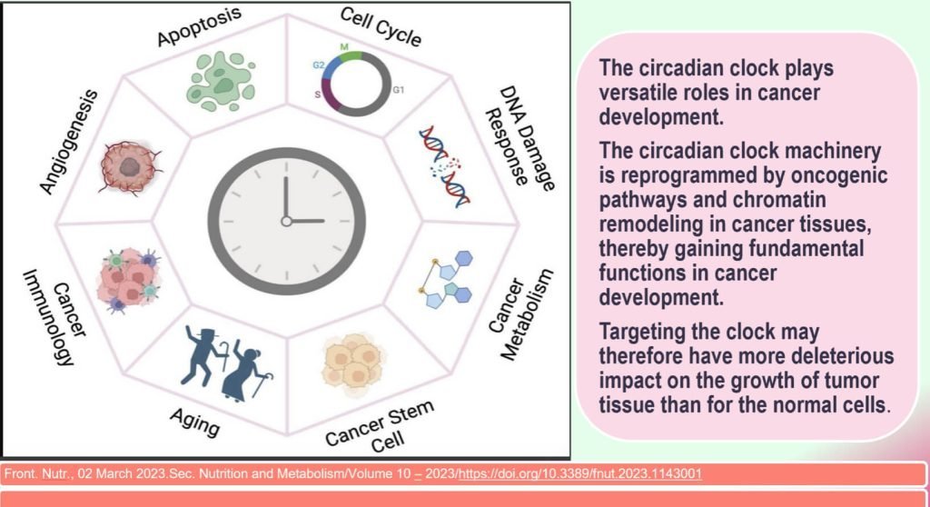 Celestial Harmony and Holistic Healing: Lessons from Kumbh Mela for Modern Healthcare