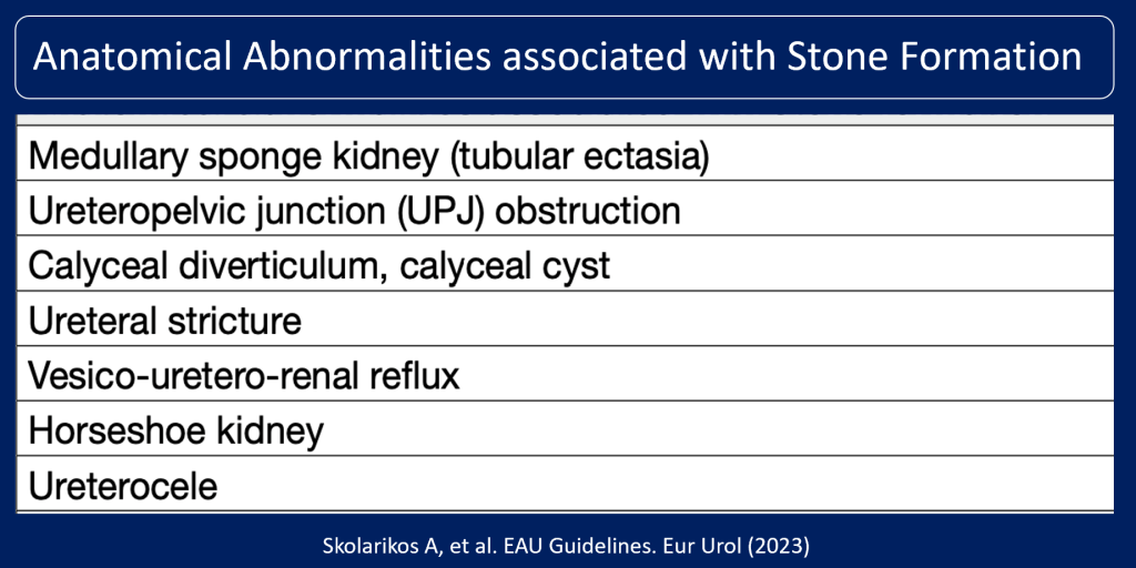 What Physicians Must Know about Approach to Recurrent Renal Calculi