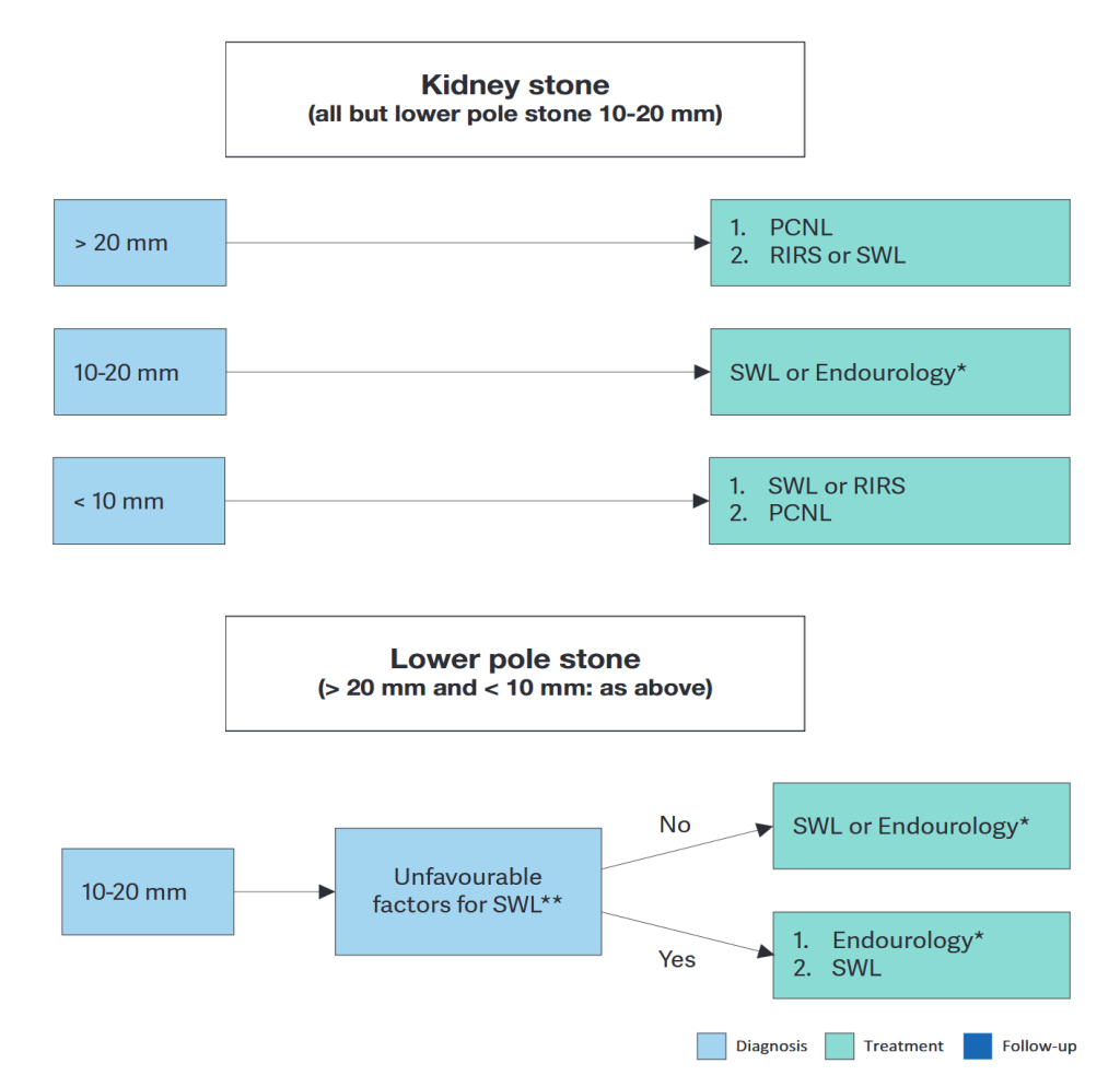 What Physicians Must Know about Approach to Recurrent Renal Calculi