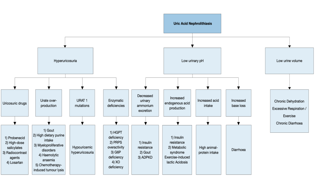 What Physicians Must Know about Approach to Recurrent Renal Calculi