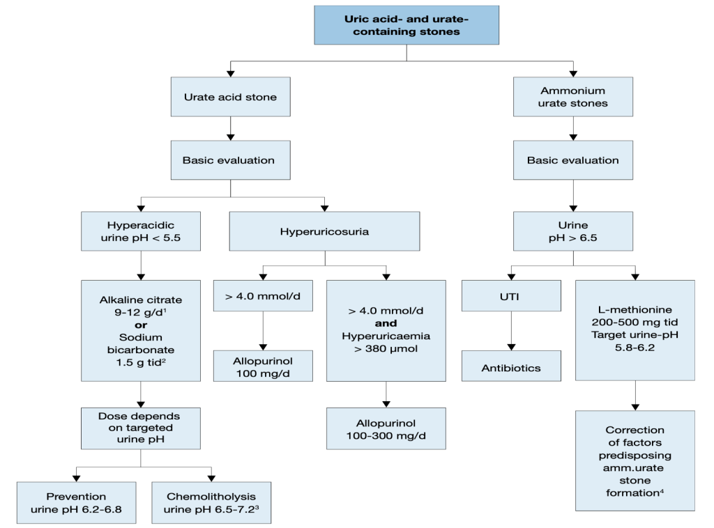 What Physicians Must Know about Approach to Recurrent Renal Calculi