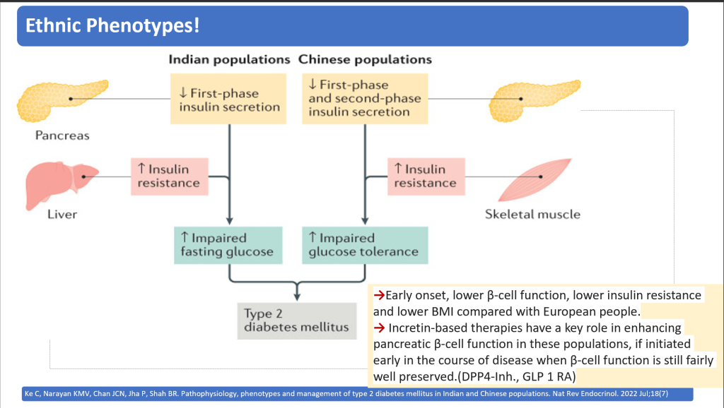 Navigating the Crossroads: Rethinking the Classification and Diagnosis of Diabetes