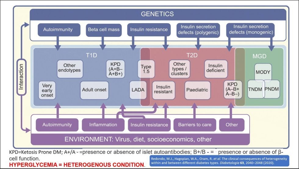 Navigating the Crossroads: Rethinking the Classification and Diagnosis ...