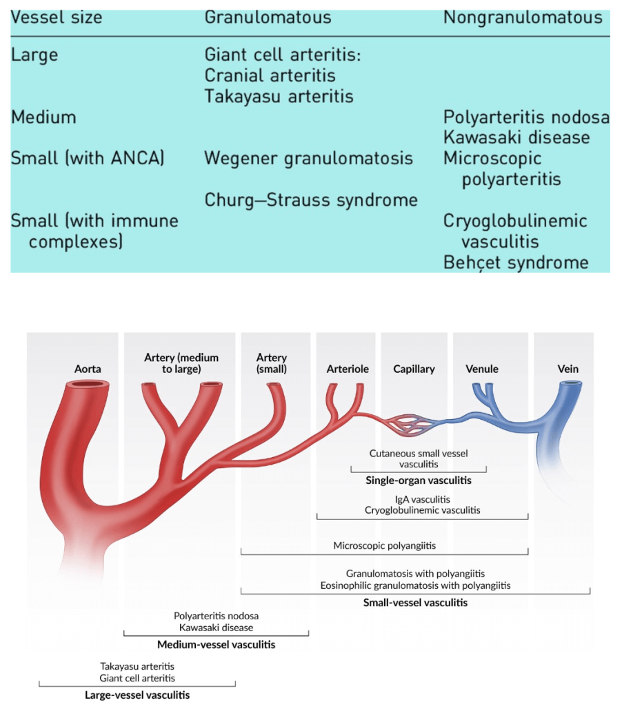 Clinical Practice Pearls Physicians Need To Know In Rheumatology