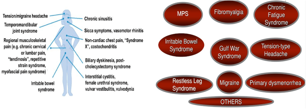 Clinical Practice Pearls Physicians Need To Know In Rheumatology