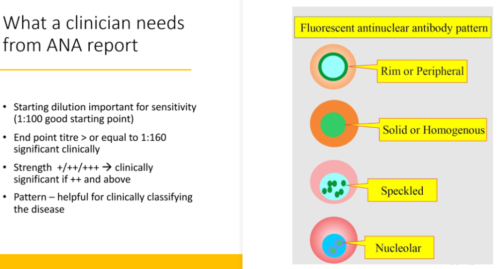 Clinical Practice Pearls Physicians Need To Know In Rheumatology