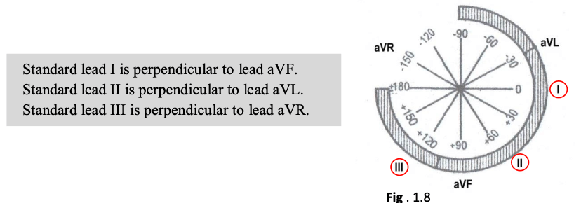 Electrical axis hypothesis and the rule of 90-degree