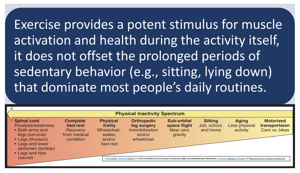 Even Brief Inactivity Undermines Muscle Health: The Hidden Toll of Step Reduction