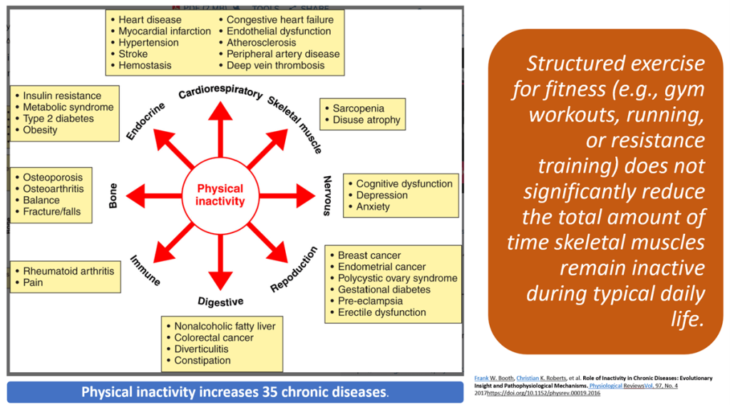 Even Brief Inactivity Undermines Muscle Health: The Hidden Toll of Step Reduction