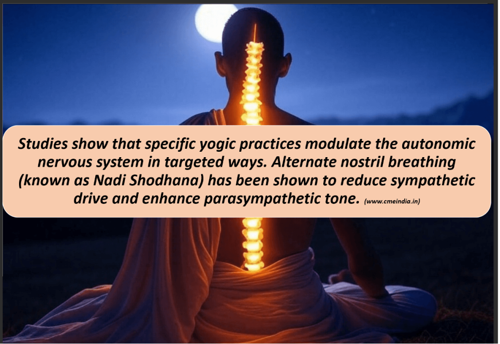 Neurospiritual Anatomy: Yogic Physiology, Meditative Neuroscience, and the Axis of Awakening in the Light of Naba Barsha